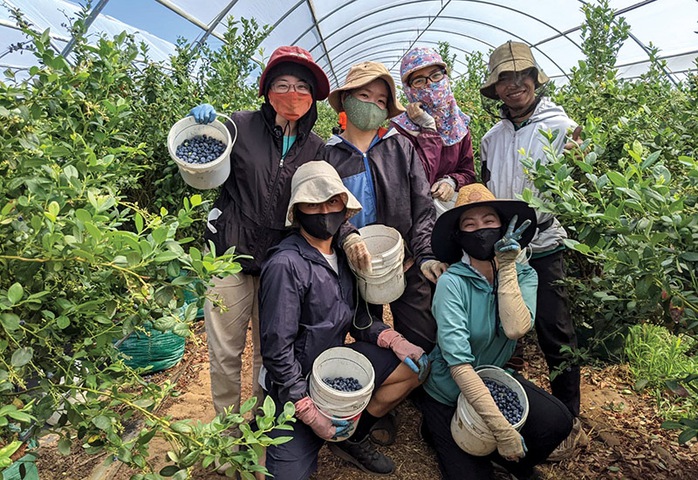 Tin vui cho lao động Việt Nam làm việc tại Úc - Ảnh 1. Tin vui cho lao động Việt Nam làm việc tại Úc - Ảnh 1.