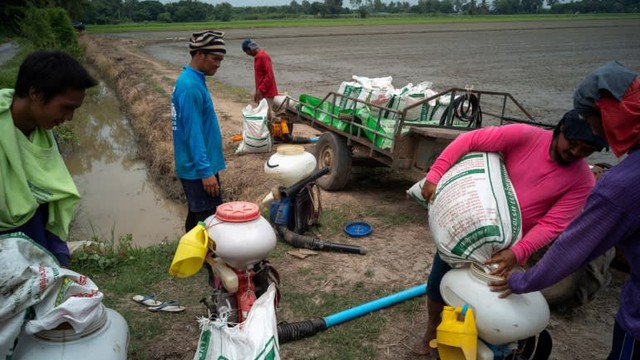 Sau cú sốc giá dầu, nhiều quốc gia Đông Nam Á chưa kịp thở đã đón thêm một 'cơn đau đầu' mới - Ảnh 3. Sau cú sốc giá dầu, nhiều quốc gia Đông Nam Á chưa kịp thở đã đón thêm một 'cơn đau đầu' mới - Ảnh 3.