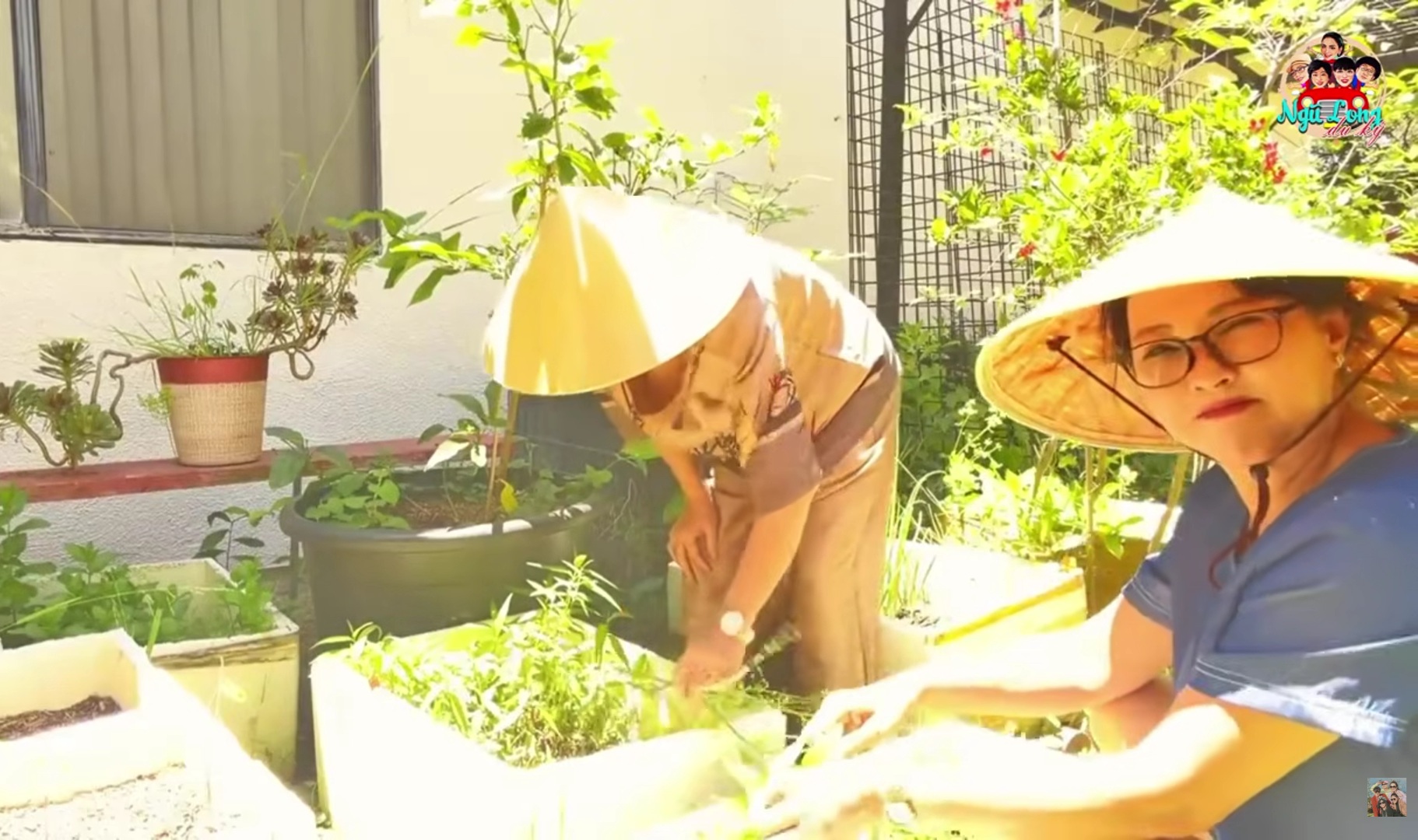 2 nữ nghệ sĩ chuy&ecirc;n l&agrave;m từ thiện đi Mỹ, ở biệt thự v&agrave;i chục tỷ - Ảnh 1.