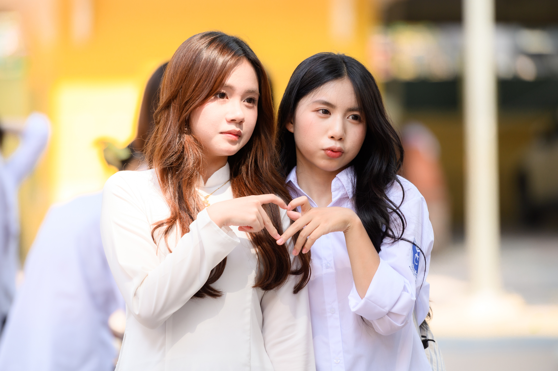  - Ảnh 1.