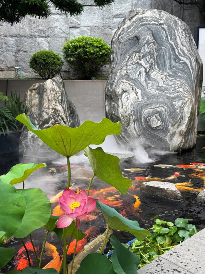 "C&ocirc;ng vi&ecirc;n" trong nh&agrave;, rạp chiếu phim 770 triệu: Cảm gi&aacute;c sống trong biệt thự 1000m2 l&agrave; thế n&agrave;y ư? - Ảnh 18.