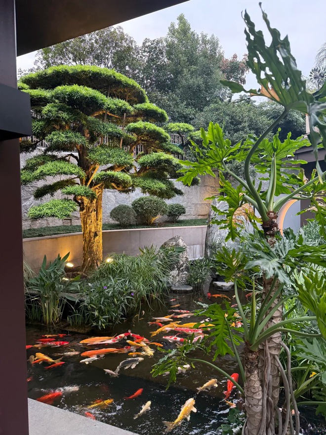 "C&ocirc;ng vi&ecirc;n" trong nh&agrave;, rạp chiếu phim 770 triệu: Cảm gi&aacute;c sống trong biệt thự 1000m2 l&agrave; thế n&agrave;y ư? - Ảnh 15.
