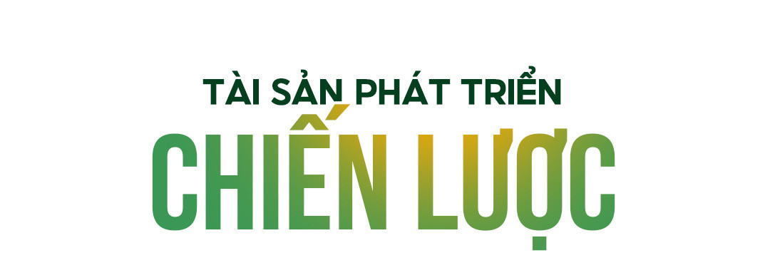 Bài 3: Chiến lược Dương Tử: Biến dòng sông thành động lực tăng trưởng và đổi mới sáng tạo - Ảnh 5.