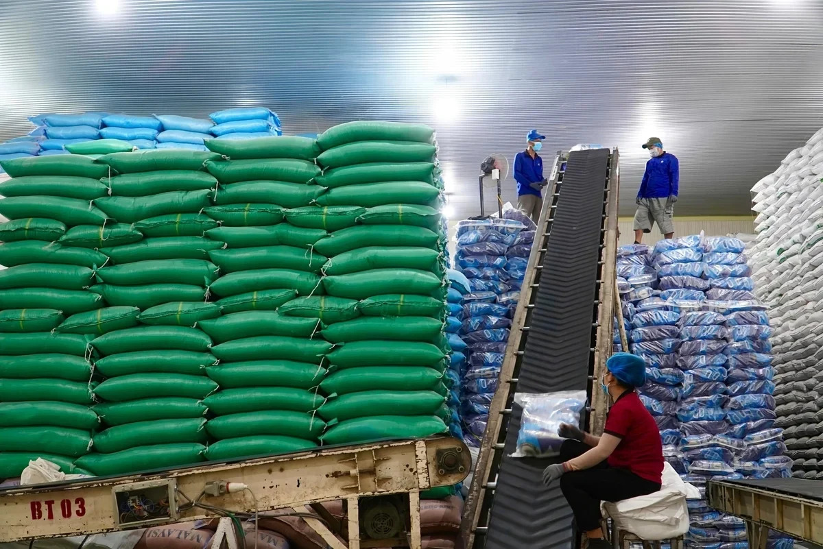 Việt Nam đ&oacute;n tin vui lớn từ Iraq v&agrave; Trung Quốc - Ảnh 1.