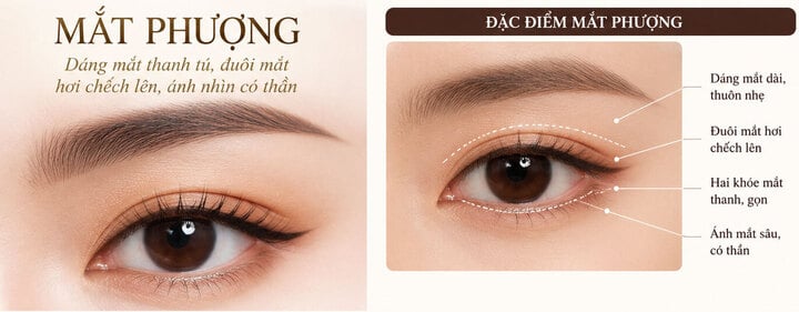 Đ&ocirc;i mắt thế n&agrave;o được gọi l&agrave; mắt phượng? - Ảnh 1.