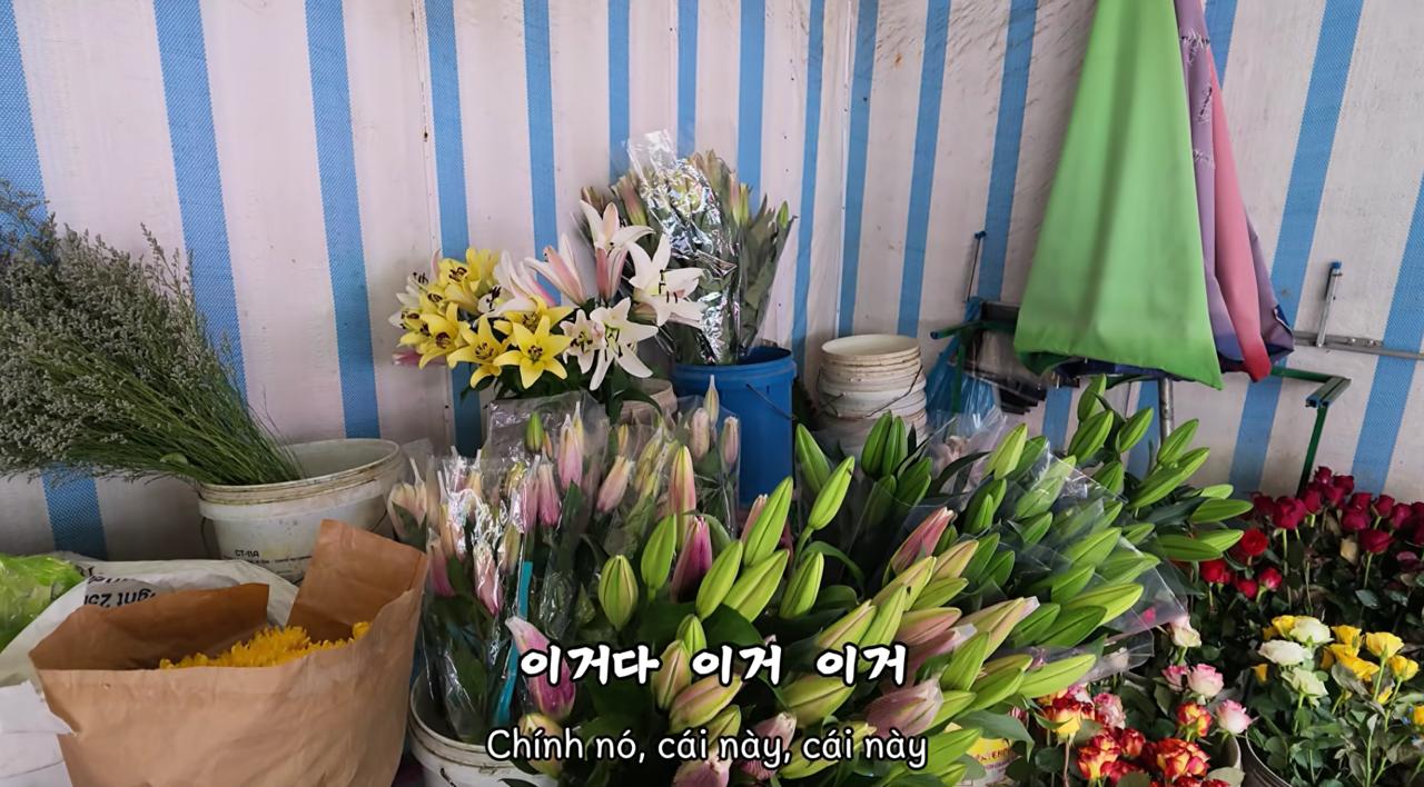 Kh&aacute;ch H&agrave;n Quốc kh&aacute;m ph&aacute; Đồ Sơn qua m&ugrave;i hương nước hoa Do Son - Ảnh 7.