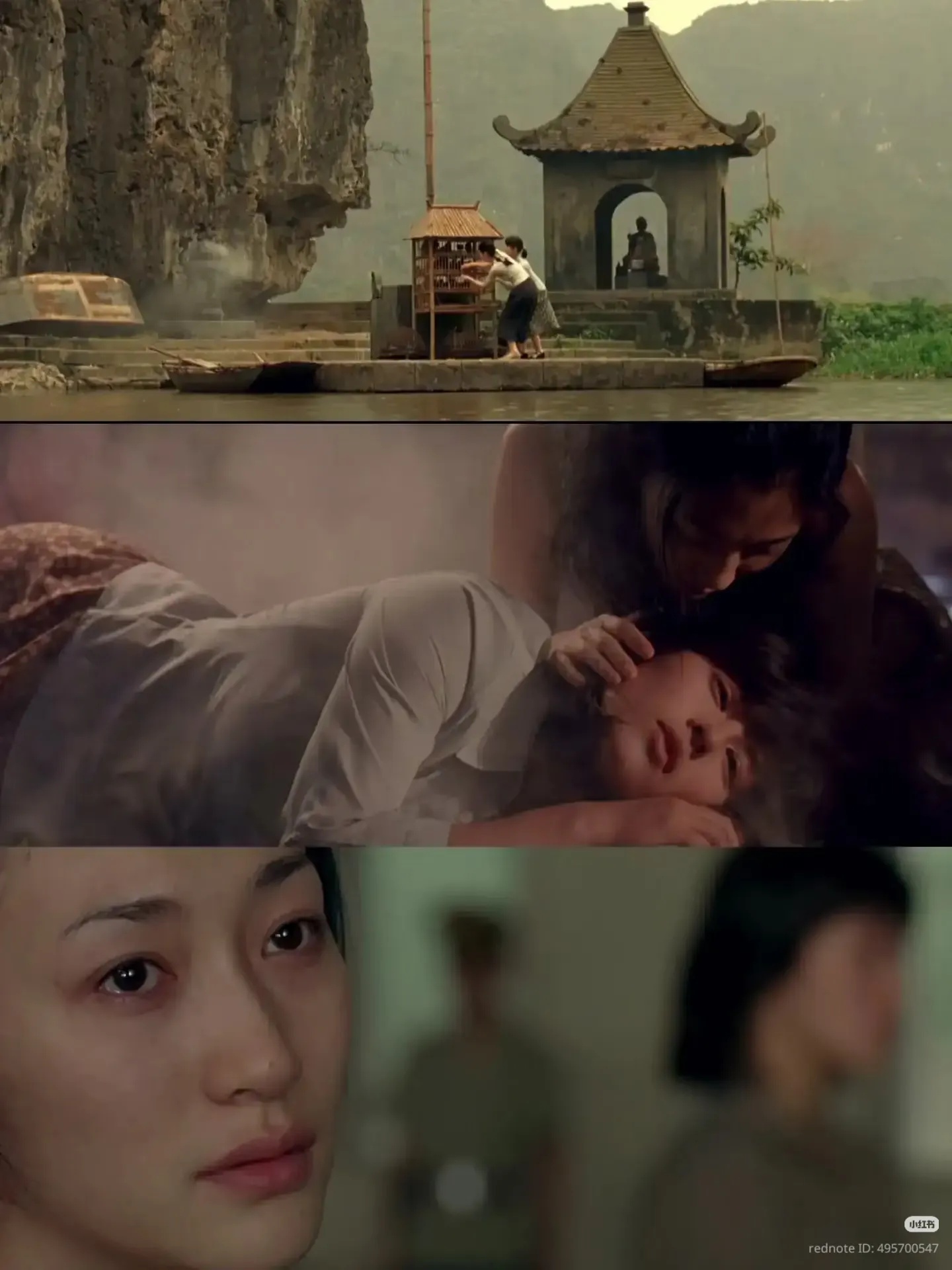- Ảnh 5. - Ảnh 5.