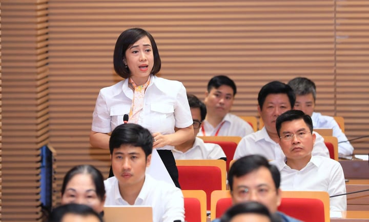 Đại biểu chất vấn HĐND về t&igrave;nh trạng thuốc bảo vệ thực vật tại phường Ph&uacute;c Lợi - Ảnh 2.