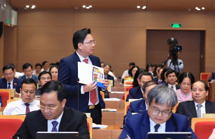 Đại biểu chất vấn HĐND về t&igrave;nh trạng thuốc bảo vệ thực vật tại phường Ph&uacute;c Lợi - Ảnh 1.