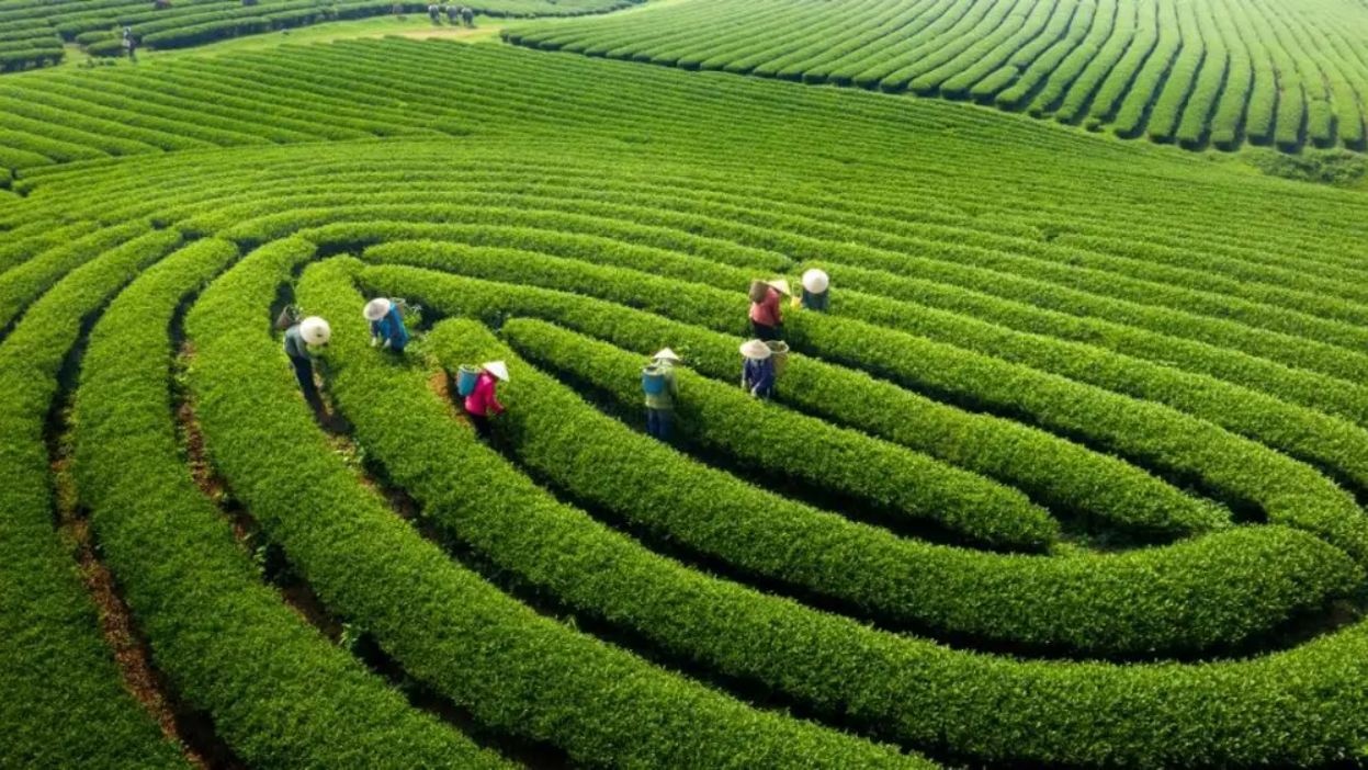 Ai cũng nghĩ là Sa Pa, đây mới là nơi duy nhất 3 lần được vinh danh đẹp nhất thế giới: Cách Hà Nội 180km - Ảnh 1. Ai cũng nghĩ là Sa Pa, đây mới là nơi duy nhất 3 lần được vinh danh đẹp nhất thế giới: Cách Hà Nội 180km - Ảnh 1.