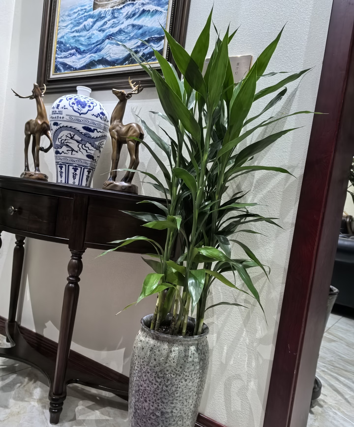V&igrave; sao người xưa lu&ocirc;n khuy&ecirc;n trồng 5 loại c&acirc;y n&agrave;y trong nh&agrave;? C&acirc;u trả lời kh&ocirc;ng chỉ nằm ở phong thủy- Ảnh 5.