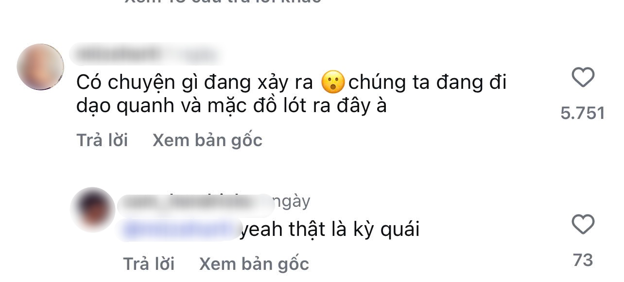  - Ảnh 5.
