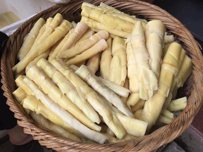 Đừng chủ quan với rau củ: 5 loại quen thuộc chứa độc tố tự nhi&ecirc;n, nấu chưa ch&iacute;n kỹ c&oacute; thể g&acirc;y ngộ độc - Ảnh 1.