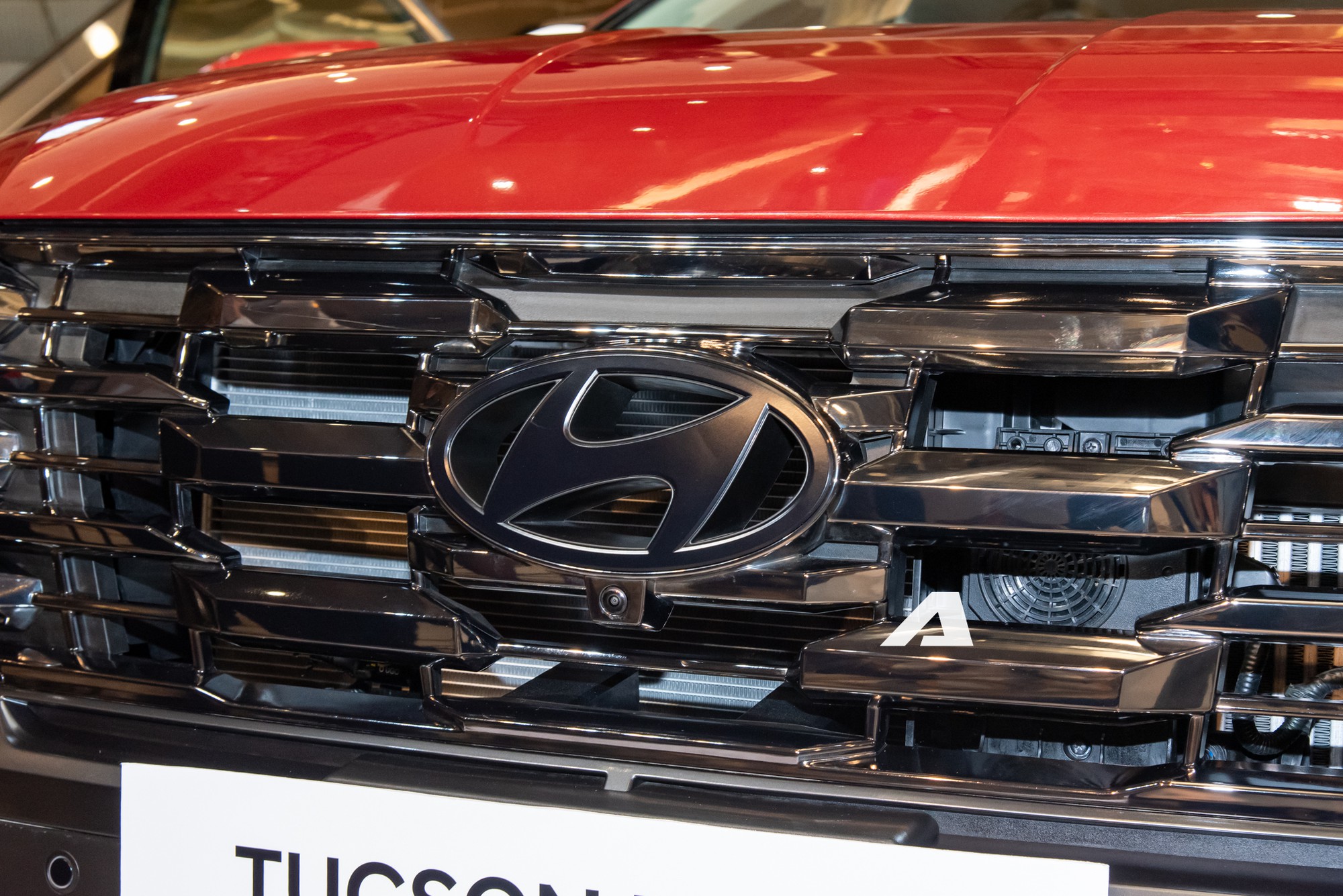 Bộ đôi Hyundai Tucson Hybrid và Palisade Hybrid lần đầu chào khách Việt: Người dân vây kín ngắm xe, giá không dưới 1 tỷ, ra mắt vào tháng 9 này - Ảnh 5.