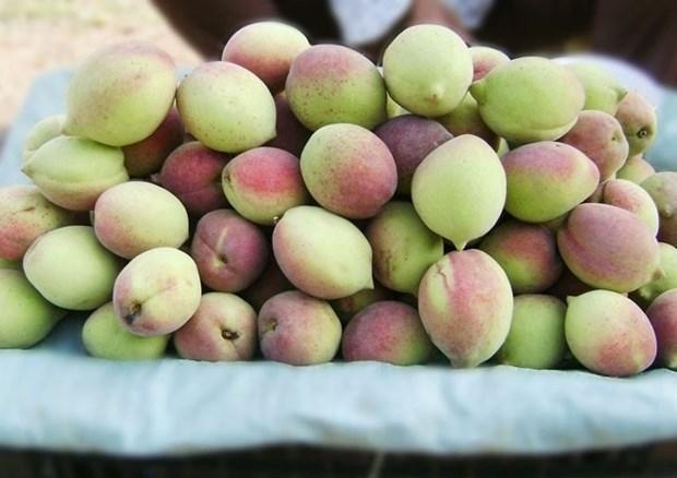 Loại quả "chống vi&ecirc;m tự nhi&ecirc;n" đang v&agrave;o m&ugrave;a, b&aacute;n đầy chợ chuy&ecirc;n gia khuy&ecirc;n n&ecirc;n ăn ngay trong h&egrave; - Ảnh 1.