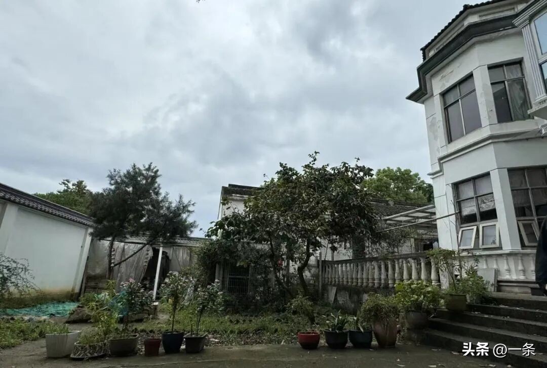 B&aacute;n căn hộ ở th&agrave;nh phố để về qu&ecirc; cải tạo nh&agrave; tổ rộng gần 1.000m&sup2;: Gia đ&igrave;nh 3 thế hệ t&igrave;m thấy cuộc sống b&igrave;nh y&ecirc;n sau c&aacute;nh cổng cũ- Ảnh 4.