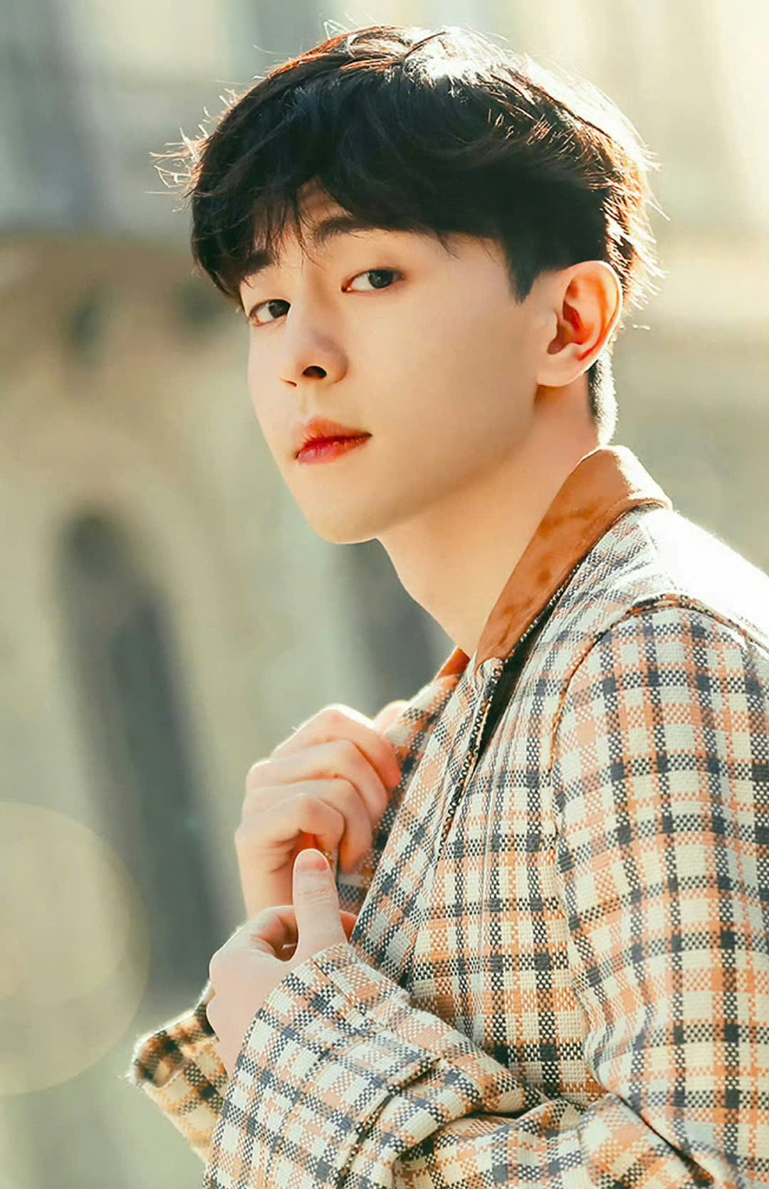  - Ảnh 2.