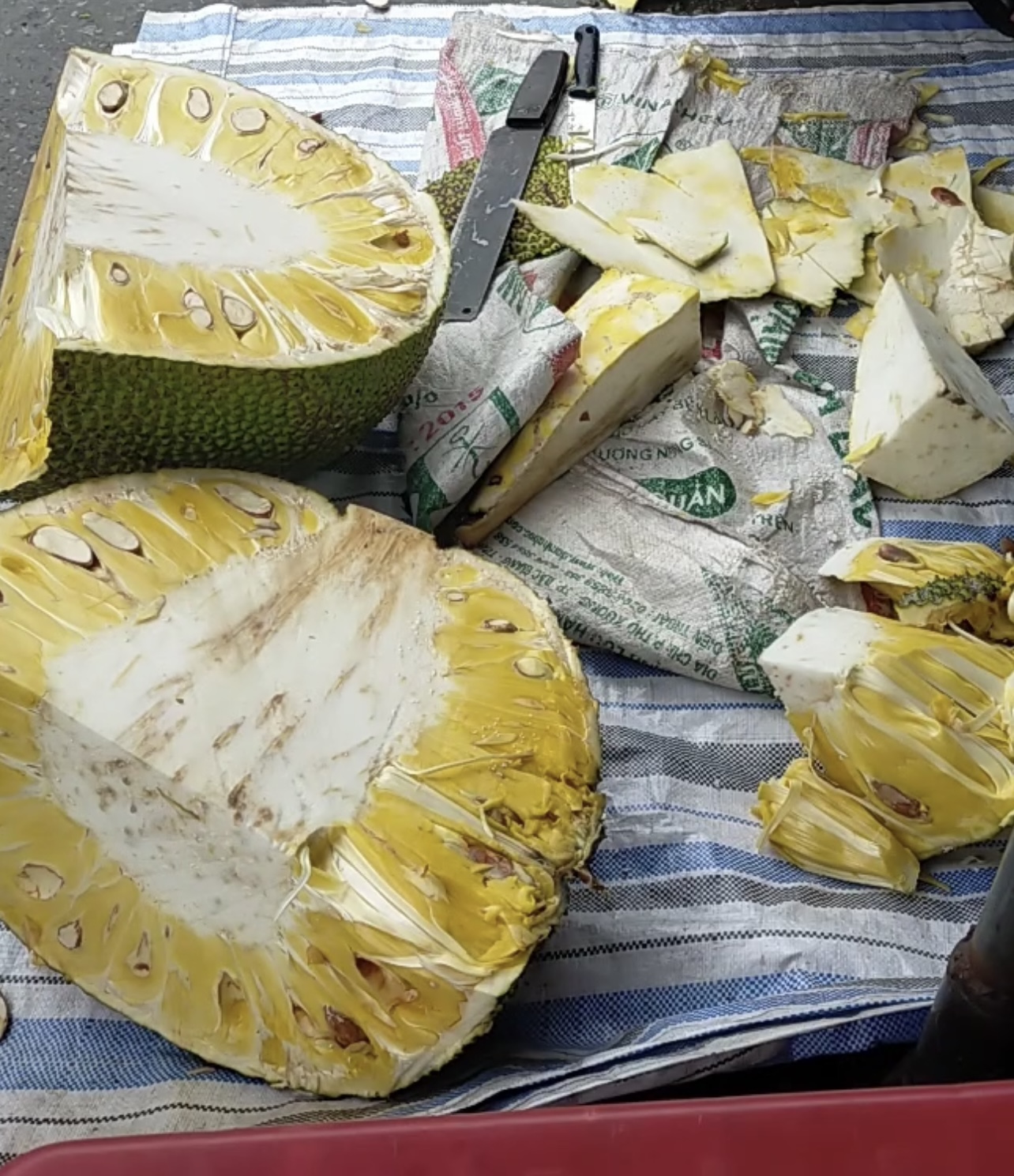 Quả mít khổng lồ nặng 53kg ở Lạng Sơn được bán với giá bất ngờ, ngỡ ngàng khi bổ ra - Ảnh 3.