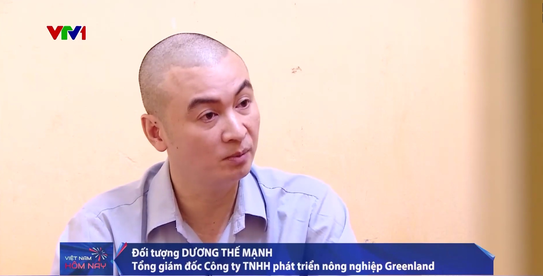 Gần 19 tấn việt quất nhập lậu được hợp thức hóa nguồn gốc để vào siêu thị- Ảnh 2.