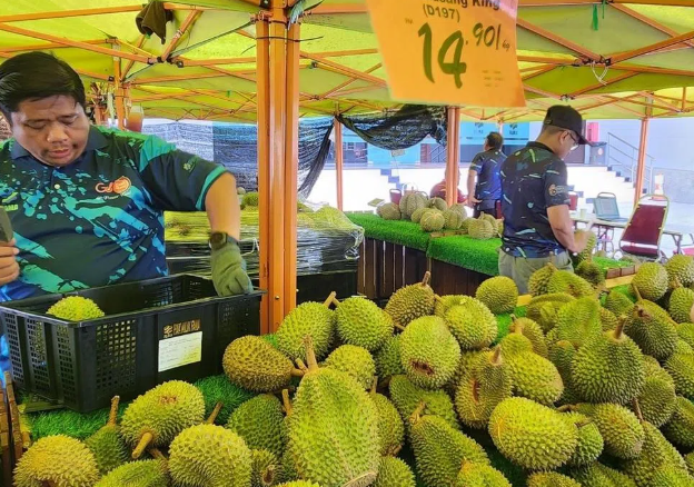 Quá nhiều sầu riêng, một đối thủ của Việt Nam tính mở tuyến đường bộ sang Trung Quốc để giảm chi phí, đang xuất khẩu 40 tấn mỗi ngày bằng máy bay - Ảnh 1. Quá nhiều sầu riêng, một đối thủ của Việt Nam tính mở tuyến đường bộ sang Trung Quốc để giảm chi phí, đang xuất khẩu 40 tấn mỗi ngày bằng máy bay - Ảnh 1.