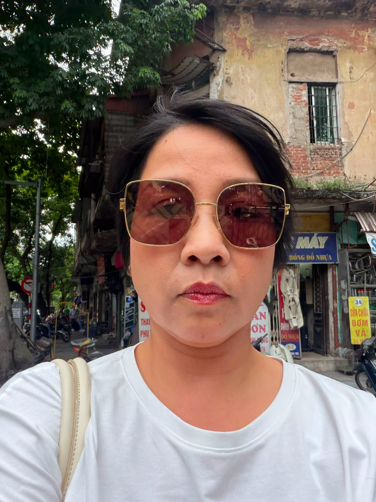 Tình hình hiện tại của Diva Mỹ Linh - Ảnh 2.