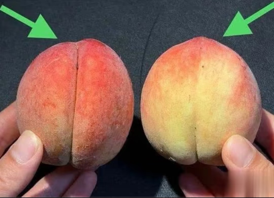  - Ảnh 3.