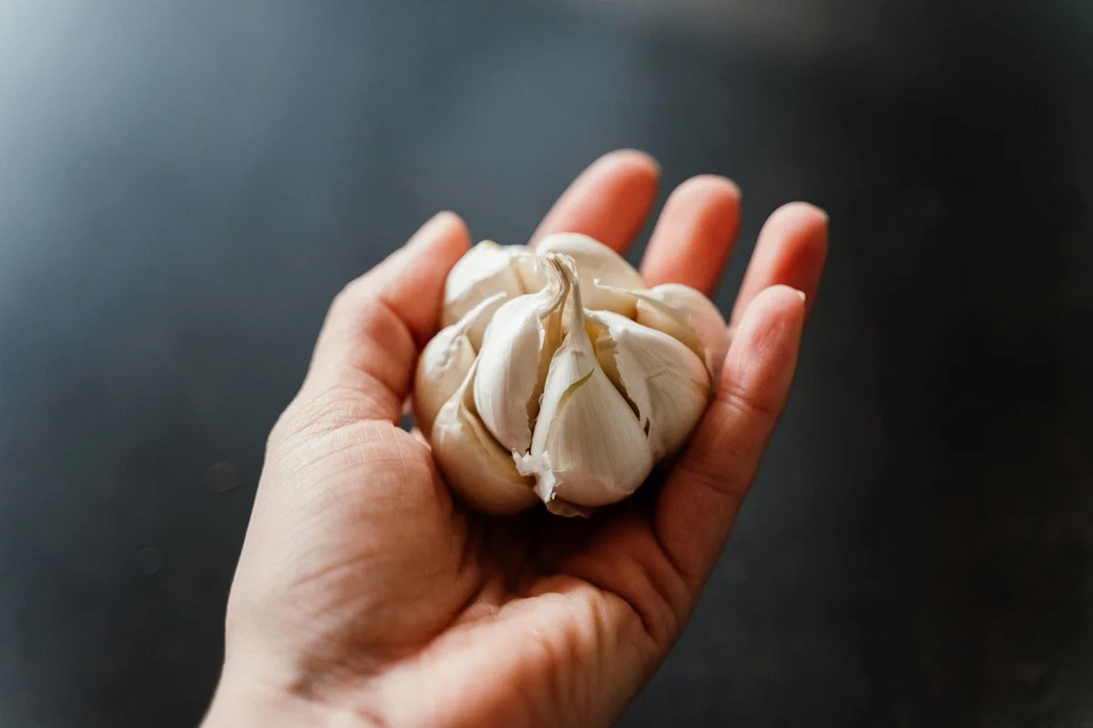 Vì sao nhiều người xịt nước tỏi lên vườn cây mùa hè? Mẹo đơn giản nhưng cực hữu hiệu - Ảnh 1.