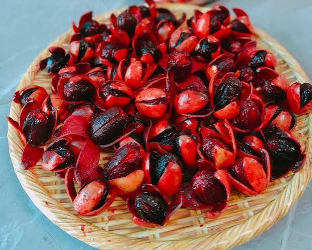 V&igrave; sao gọi l&agrave; c&acirc;y m&aacute;u ch&oacute;? - Ảnh 3.