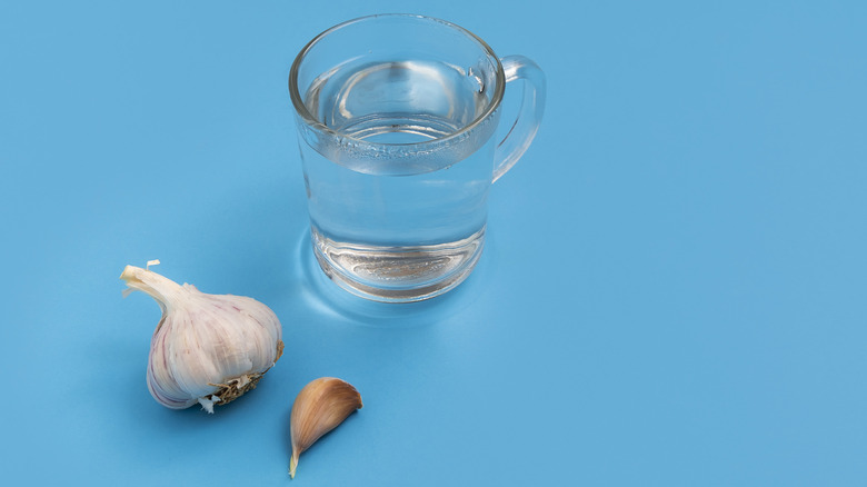 V&igrave; sao nhiều người ng&acirc;m tỏi trong nước s&ocirc;i trước khi b&oacute;c? C&ocirc;ng dụng g&acirc;y bất ngờ- Ảnh 1.