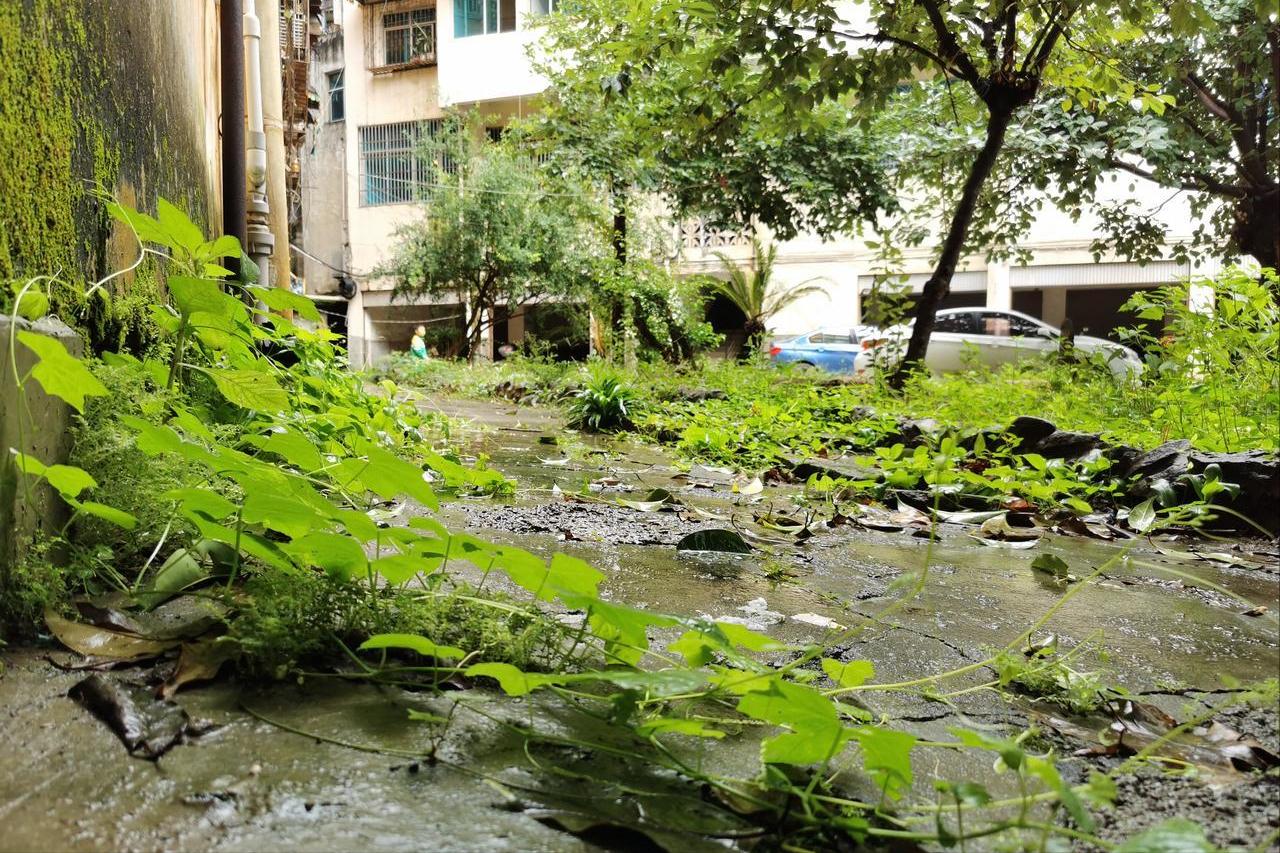 Bỏ hơn 1,8 tỷ đồng mua căn hộ tầng trệt c&oacute; s&acirc;n cho bố mẹ dưỡng gi&agrave;, t&ocirc;i kh&ocirc;ng ngờ chỉ sau chưa đầy 2 năm cả nh&agrave; đều hối hận- Ảnh 4.