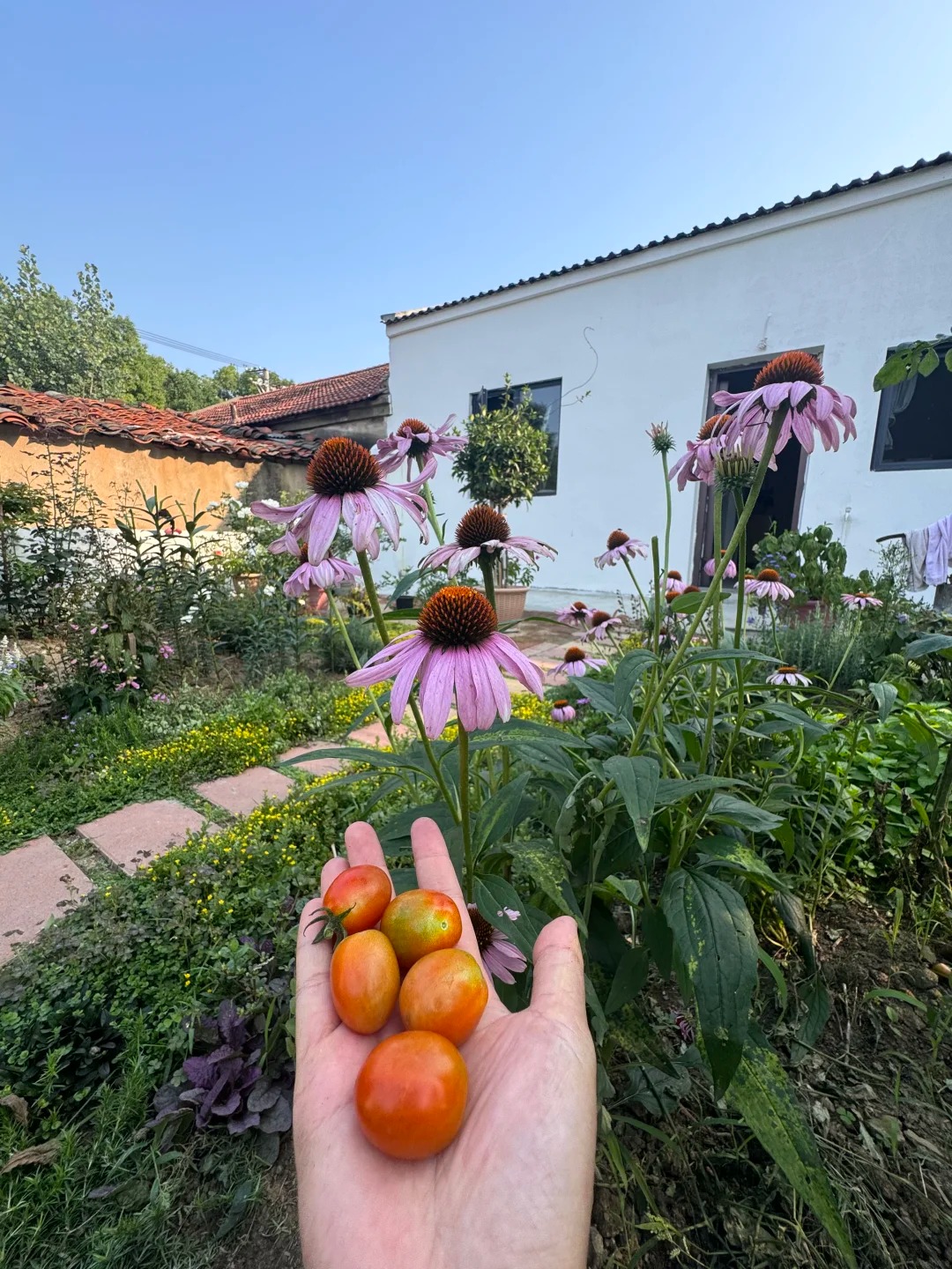 Mua nh&agrave; 38 triệu, c&ocirc; g&aacute;i biến h&oacute;a th&agrave;nh kh&ocirc;ng gian sống tuyệt đẹp - Ảnh 16.