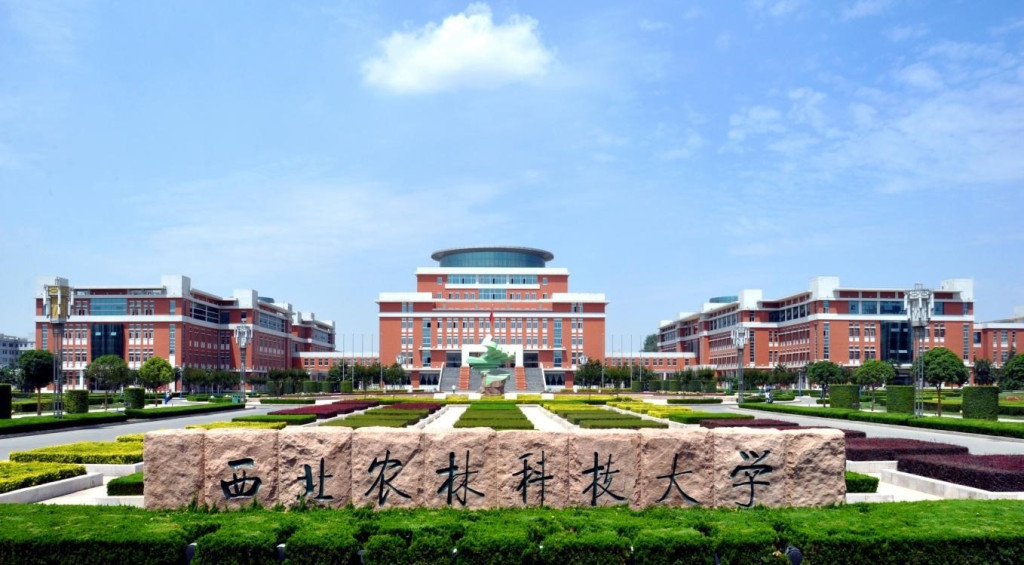 Nam sinh gian lận thi đại học trở th&agrave;nh ph&oacute; gi&aacute;o sư: Hủy bằng cử nh&acirc;n, thạc sĩ giữ nguy&ecirc;n - Ảnh 1.