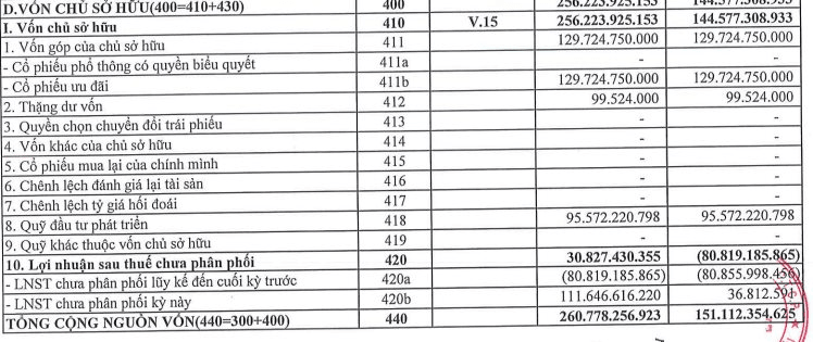 Một doanh nghiệp nh&agrave; nước l&atilde;i gấp 28 lần nhờ cổ tức từ c&ocirc;ng ty con của Vingroup, x&oacute;a sạch lỗ lũy kế - Ảnh 3.