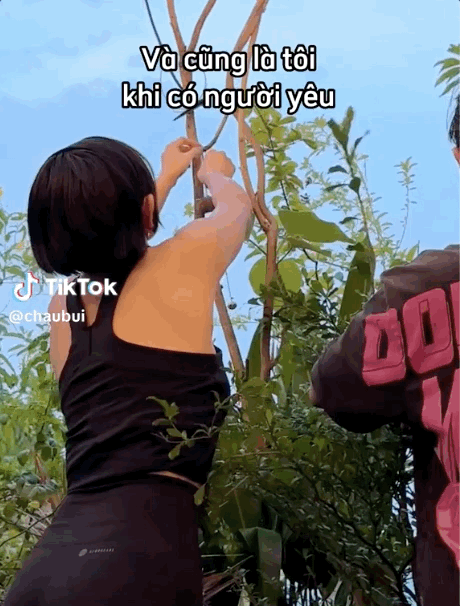  - Ảnh 7.