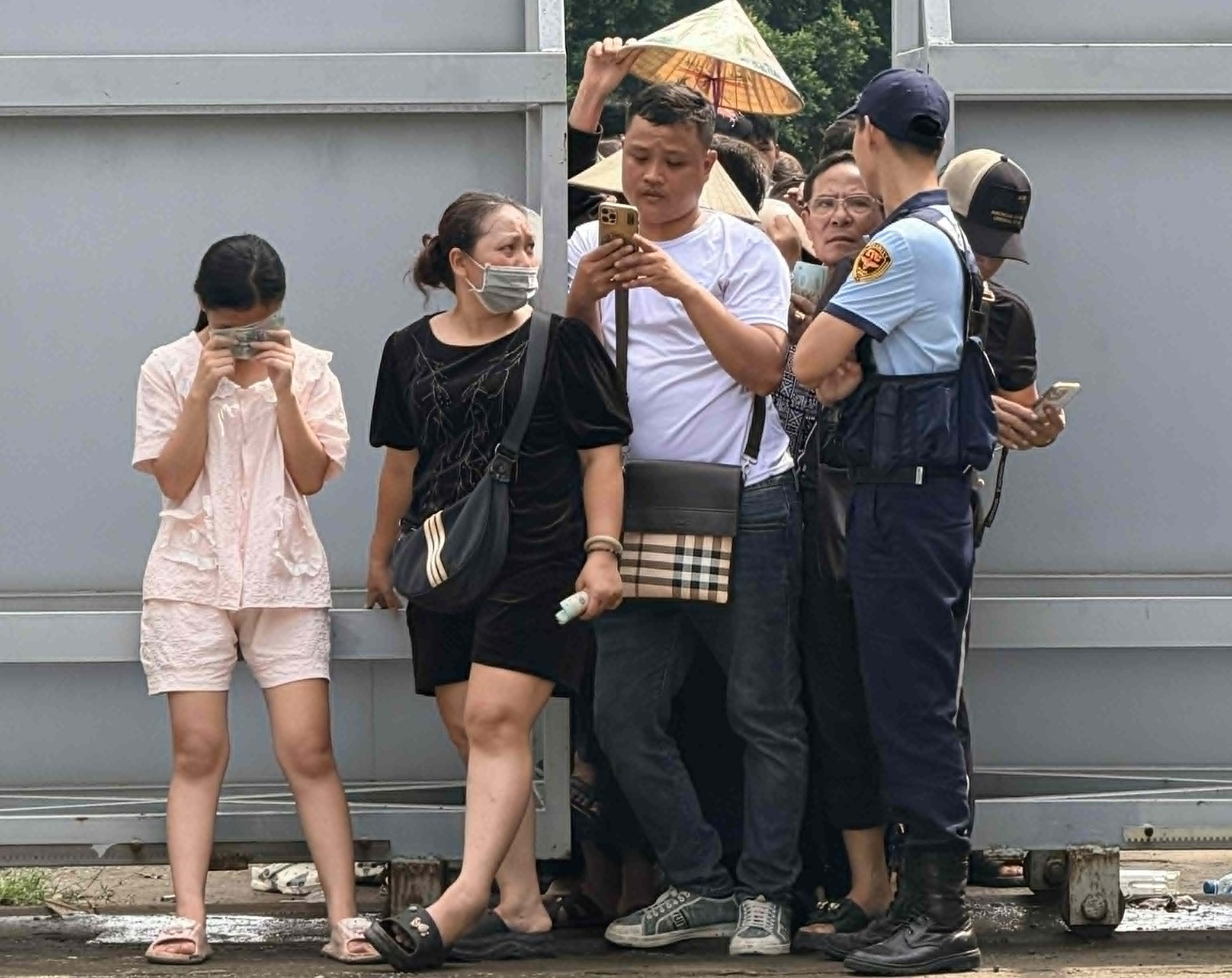  - Ảnh 7.