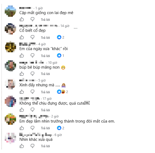  - Ảnh 6.