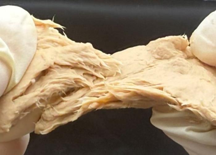Phát minh của Trung Quốc làm rung chuyển ngành thực phẩm: Chế tạo nguồn protein từ nấm biến đổi gen, vị giống thịt, sản xuất nhanh hơn 88% - Ảnh 2.
