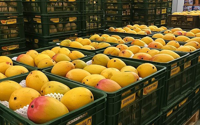 Một ng&agrave;nh h&agrave;ng của Việt Nam lập kỷ lục tỷ USD chưa từng c&oacute;, Trung Quốc, Mỹ, H&agrave;n Quốc c&oacute; đ&oacute;ng g&oacute;p lớn