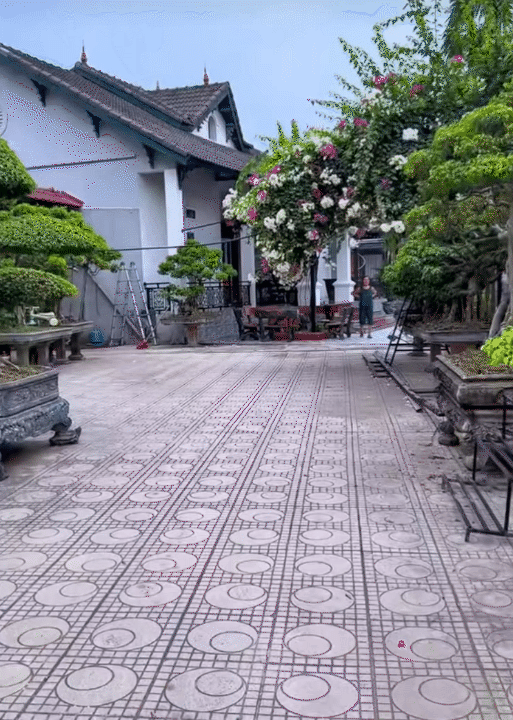 4 thế hệ, hơn 20 người sống chung tr&ecirc;n mảnh đất 3.000m2 ở H&agrave; Nội: Người phụ nữ "cầm c&acirc;n nảy mực" khiến cả 4 n&agrave;ng d&acirc;u nể phục - Ảnh 2.