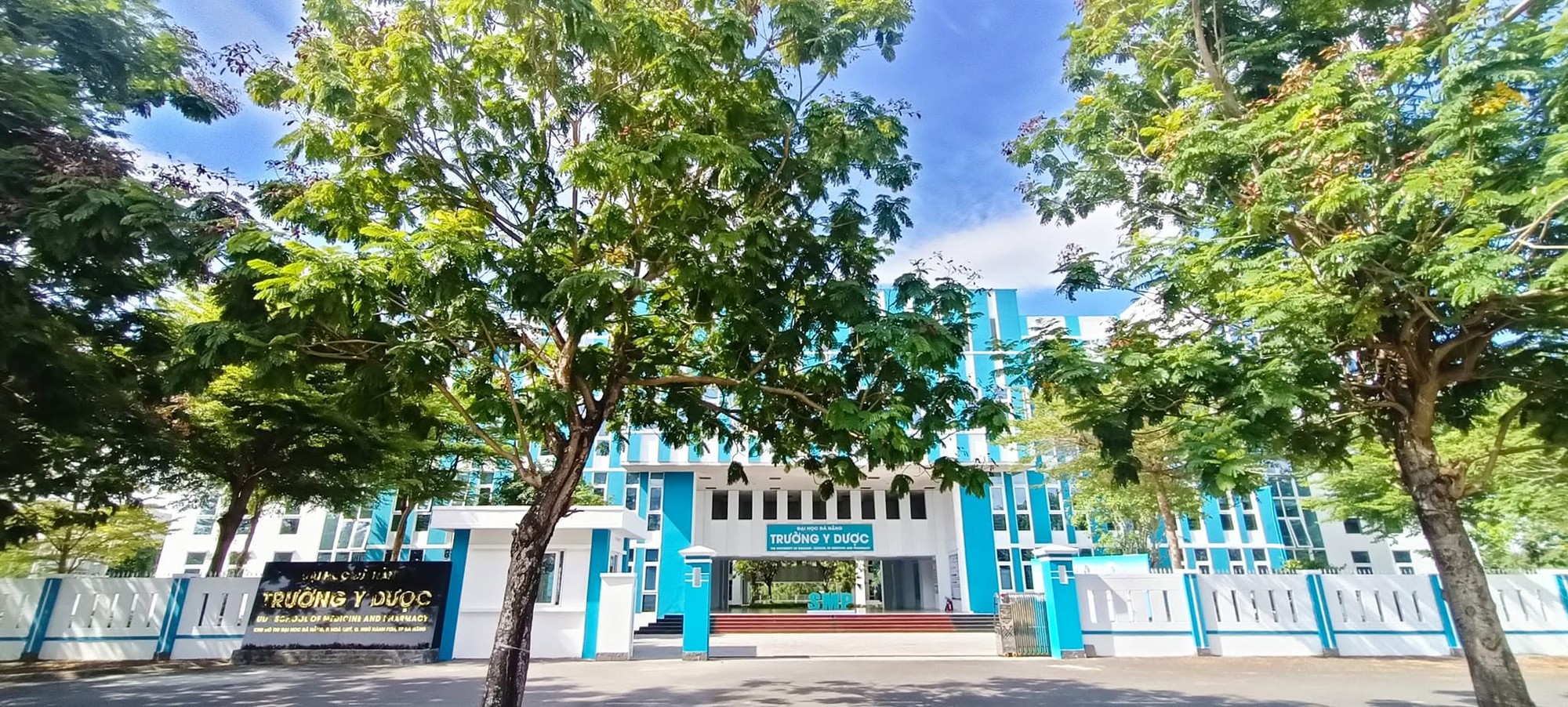  - Ảnh 6.