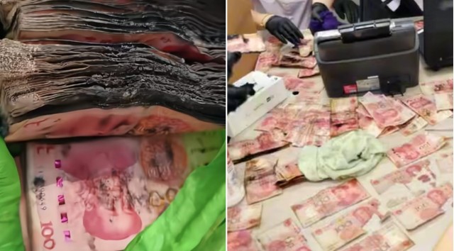 Về nhà sau hơn nửa tháng đi công tác, người đàn ông tái mặt khi thấy thứ ở ban công: Mất 14 giờ 'giải cứu' - Ảnh 1.