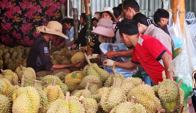 Chưa kịp mừng vì xuất khẩu sang Trung Quốc tăng mạnh, sầu riêng Campuchia lại gặp sóng gió - Ảnh 1. Chưa kịp mừng vì xuất khẩu sang Trung Quốc tăng mạnh, sầu riêng Campuchia lại gặp sóng gió - Ảnh 1.