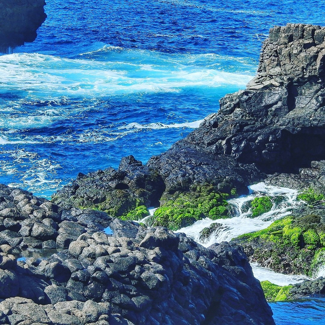 island tour sal cape 154242 1783155916861 17831559176411747672235