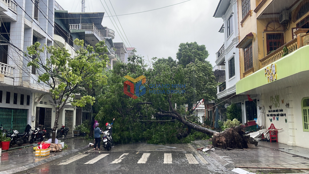Cập nhật Bão số 1: Quảng Ninh nhiều nơi đã mất điện, gió rít liên hồi, khuyến cáo người dân không ra đường - Ảnh 3.