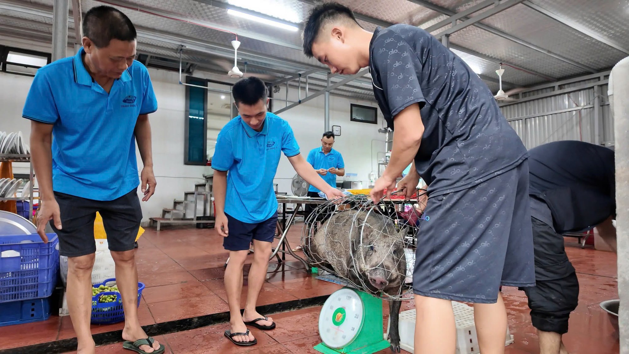 Chủ khách sạn ở Cô Tô đãi tiệc du khách mắc kẹt do bão số 1 - Ảnh 1. Chủ khách sạn ở Cô Tô đãi tiệc du khách mắc kẹt do bão số 1 - Ảnh 1.