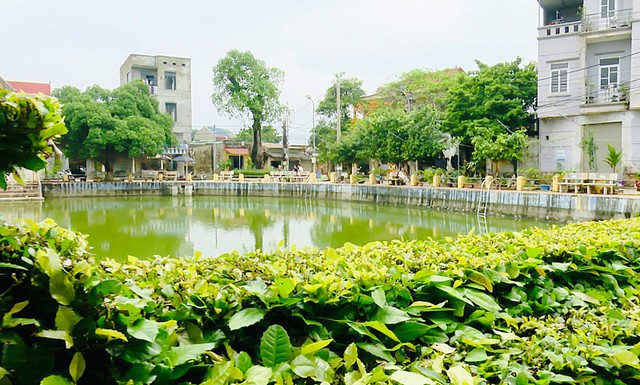 Việt Nam c&oacute; nơi kh&ocirc;ng cần d&ugrave;ng điều h&ograve;a vẫn m&aacute;t lạnh, l&agrave; nơi cất giấu 99 giếng cổ từ v&oacute; ngựa Th&aacute;nh Gi&oacute;ng
- Ảnh 9.