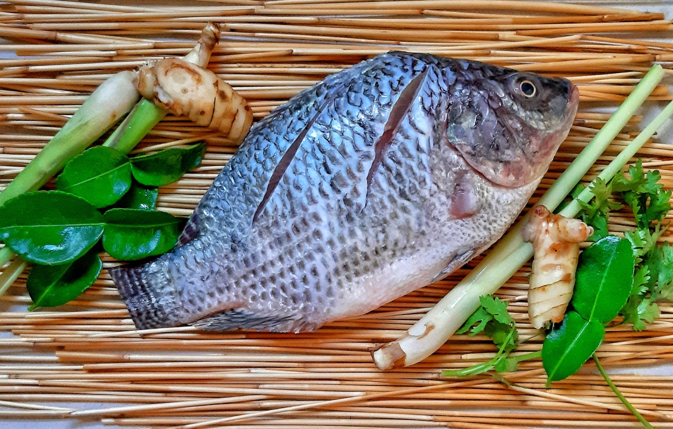 Đi chợ thấy loại c&aacute; n&agrave;y nhớ mua ngay: Bổ dưỡng ngang c&aacute; hồi m&agrave; gi&aacute; chỉ bằng 1/10 - Ảnh 2.