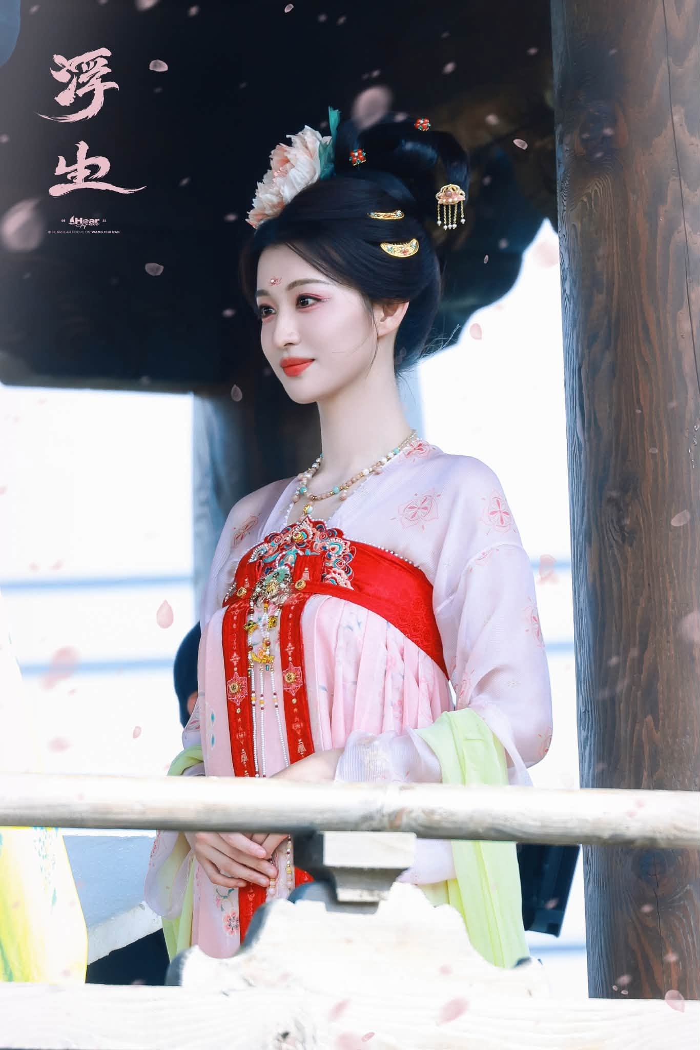 Đ&oacute;a mẫu đơn đẹp nhất Đại Đường phồn hoa: Dung nhan như hoa như ngọc, n&oacute;i tuyệt đại giai nh&acirc;n cũng kh&ocirc;ng ngoa - Ảnh 3.