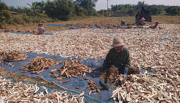 Kh&ocirc;ng phải gạo hay sầu ri&ecirc;ng, Campuchia quyết t&acirc;m l&agrave;m gi&agrave;u với mặt h&agrave;ng Việt Nam đang đứng thứ 2 thế giới: &lsquo;Đ&acirc;y l&agrave; mỏ v&agrave;ng mới của ch&uacute;ng t&ocirc;i&rsquo; - Ảnh 1.