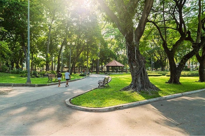 Công viên rộng 8ha giữa trung tâm TP.HCM bất ngờ được chú ý: Vừa diễn ra cuộc khai quật quan trọng - Ảnh 4.